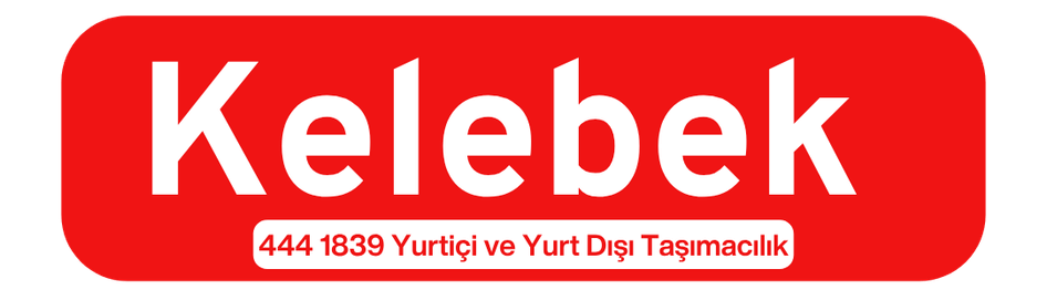 Esenyalı Evden Eve Nakliyat